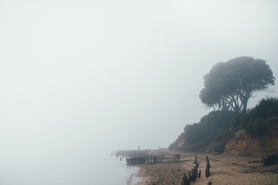 海在雾蒙蒙的天
